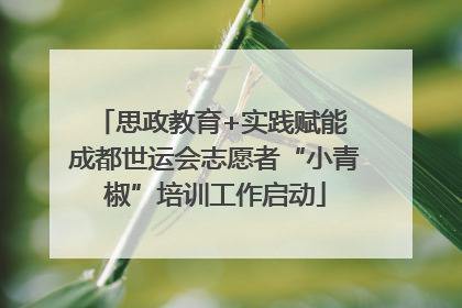 思政教育+实践赋能 成都世运会志愿者“小青椒”培训工作启动