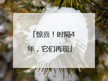 惊喜！时隔4年，它们再现