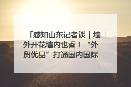 感知山东记者谈｜墙外开花墙内也香！“外贸优品”打通国内国际市场“旋转门”