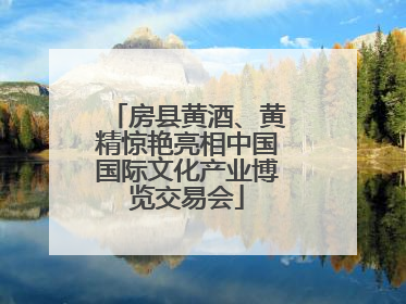 房县黄酒、黄精惊艳亮相中国国际文化产业博览交易会