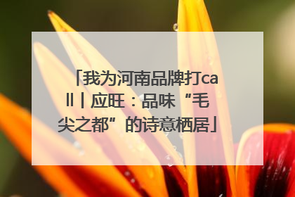 我为河南品牌打call丨应旺：品味“毛尖之都”的诗意栖居