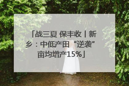 战三夏 保丰收丨新乡：中低产田“逆袭” 亩均增产15%