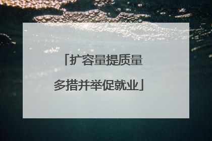 扩容量提质量 多措并举促就业