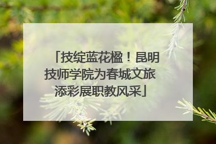 技绽蓝花楹！昆明技师学院为春城文旅添彩展职教风采