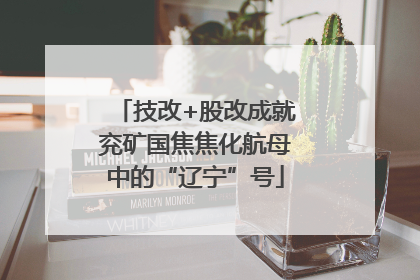 技改+股改成就兖矿国焦焦化航母中的“辽宁”号