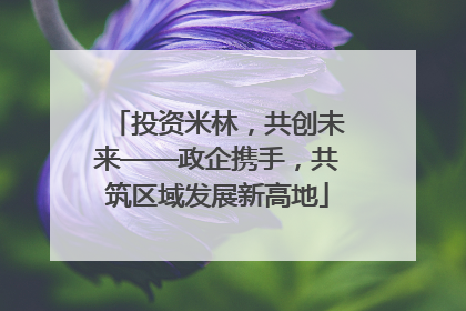投资米林，共创未来——政企携手，共筑区域发展新高地