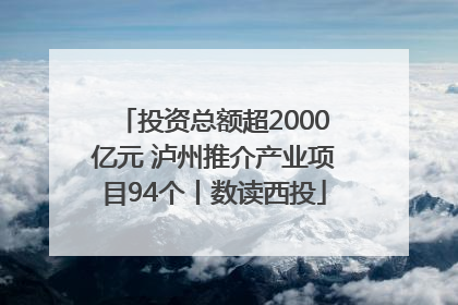 投资总额超2000亿元 泸州推介产业项目94个丨数读西投