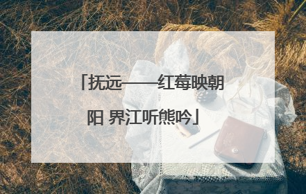 抚远——红莓映朝阳 界江听熊吟