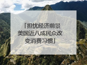 担忧经济前景 美国近八成民众改变消费习惯