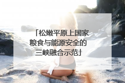 松嫩平原上国家粮食与能源安全的三峡融合示范