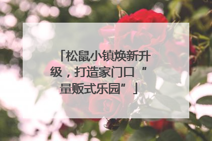 松鼠小镇焕新升级，打造家门口“量贩式乐园”