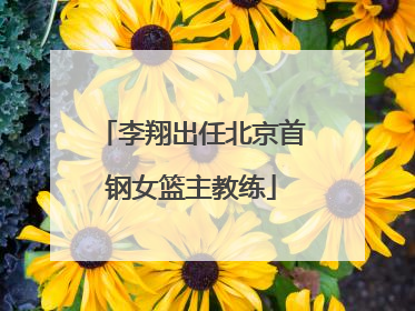 李翔出任北京首钢女篮主教练