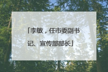 李敏，任市委副书记、宣传部部长