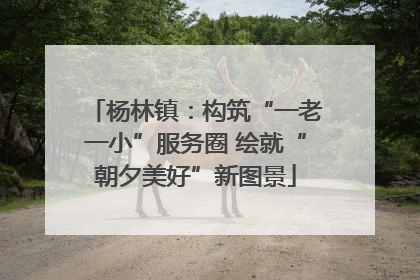 杨林镇：构筑“一老一小”服务圈 绘就“朝夕美好”新图景
