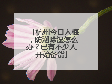 杭州今日入梅，防潮除湿怎么办？已有不少人开始备货