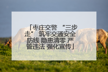 枣庄交警 “三步走” 筑牢交通安全防线 隐患清零 严管违法 强化宣传