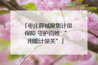 枣庄薛城聚焦计量保障 守护百姓 “用能计量关”