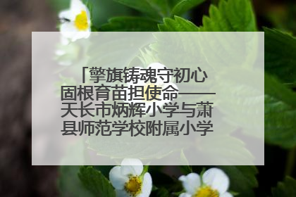擎旗铸魂守初心 固根育苗担使命——天长市炳辉小学与萧县师范学校附属小学结对共建活动纪实