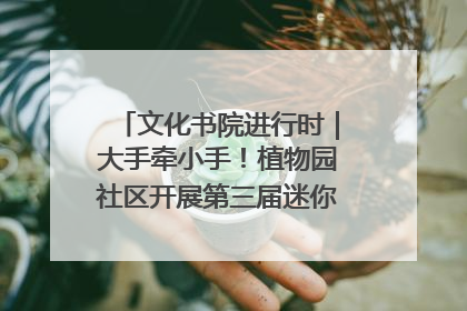 文化书院进行时｜大手牵小手！植物园社区开展第三届迷你马拉松活动