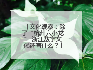 文化观察：除了“杭州六小龙” 浙江数字文化还有什么？