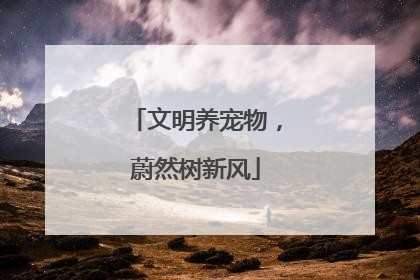 文明养宠物，蔚然树新风