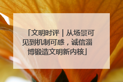 文明时评｜从场景可见到机制可感，诚信淄博锻造文明新内核