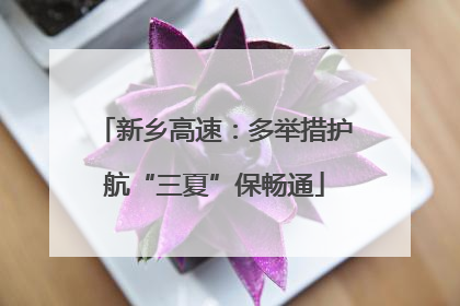 新乡高速：多举措护航“三夏”保畅通