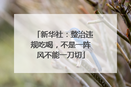 新华社：整治违规吃喝，不是一阵风不能一刀切