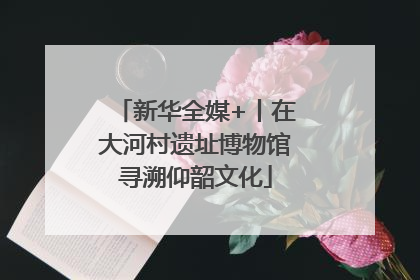 新华全媒+丨在大河村遗址博物馆寻溯仰韶文化