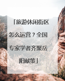 旅游休闲街区怎么运营？全国专家学者齐聚岳阳献策
