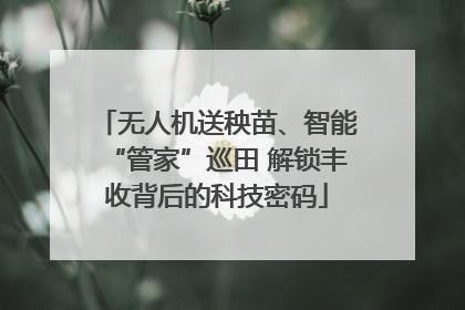 无人机送秧苗、智能“管家”巡田 解锁丰收背后的科技密码