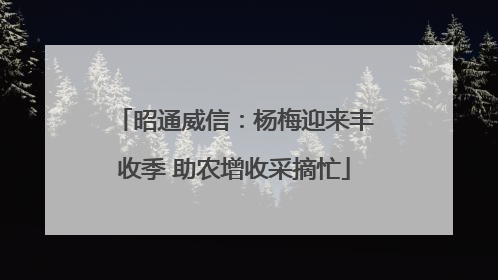昭通威信：杨梅迎来丰收季 助农增收采摘忙
