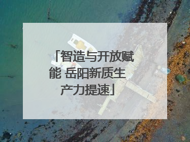 智造与开放赋能 岳阳新质生产力提速