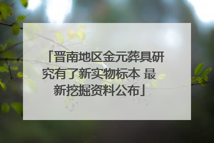 晋南地区金元葬具研究有了新实物标本 最新挖掘资料公布