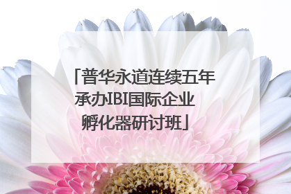 普华永道连续五年承办IBI国际企业孵化器研讨班