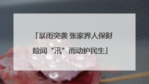 暴雨突袭 张家界人保财险闻“汛”而动护民生
