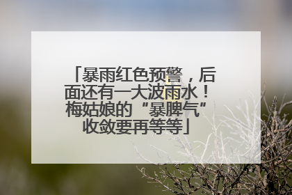 暴雨红色预警，后面还有一大波雨水！梅姑娘的“暴脾气”收敛要再等等