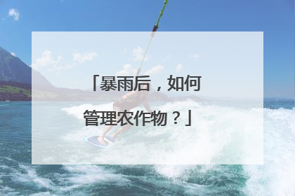 暴雨后，如何管理农作物？