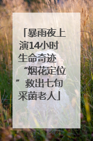 暴雨夜上演14小时生命奇迹 “烟花定位”救出七旬采菌老人