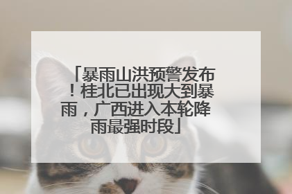 暴雨山洪预警发布！桂北已出现大到暴雨，广西进入本轮降雨最强时段