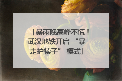 暴雨晚高峰不慌！武汉地铁开启 “暴走护犊子” 模式
