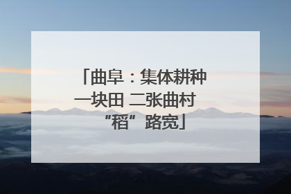 曲阜：集体耕种一块田 二张曲村“稻”路宽