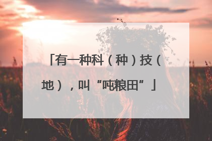 有一种科（种）技（地），叫“吨粮田”