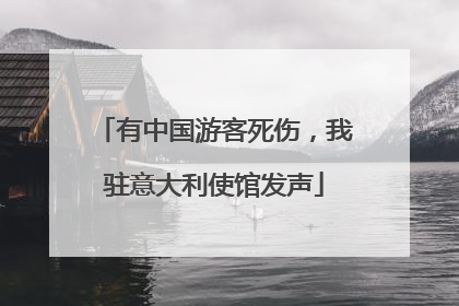 有中国游客死伤，我驻意大利使馆发声