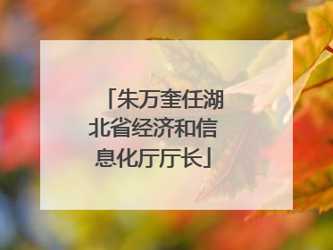 朱万奎任湖北省经济和信息化厅厅长