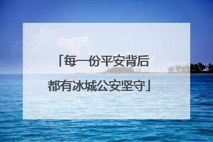 每一份平安背后 都有冰城公安坚守