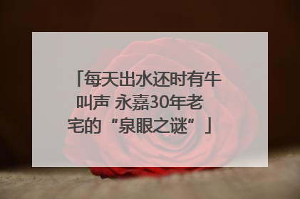 每天出水还时有牛叫声 永嘉30年老宅的“泉眼之谜”