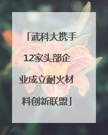 武科大携手12家头部企业成立耐火材料创新联盟