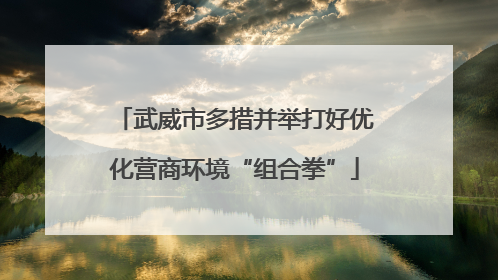 武威市多措并举打好优化营商环境“组合拳”
