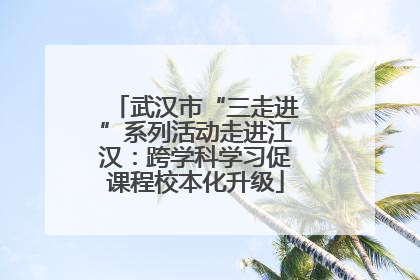 武汉市“三走进”系列活动走进江汉：跨学科学习促课程校本化升级
